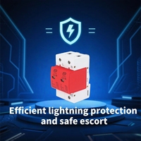 Parafoudre industriel T2 SPD 80KA 385V 2P avec logo personnalisé, dispositif de protection contre les surtensions 40KA, protection contre la foudre pour système solaire