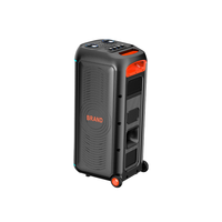 Altavoz Bluetooth de 100W RMS con MOQ Bajo, OEM/ODM, Molde Privado, Logotipo Personalizado, Caja Colorida, CE, RoHS, Proveedor Mayorista de Pruebas