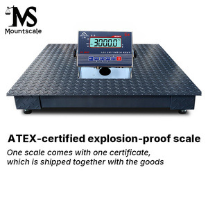 Plattformwaage 1 Tonne Bodenwaage Digitale Plattformwaage Wiegebrücke mit Explosionsgeschütztem Anzeigegerät - Product Image 3
