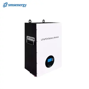 Solar Energy Solar Batteries 100ah 200ah 5kwh 10kwh Lithium Battery 48v Lifepo4 Power Wall Mounted Powerwall Battery Pack