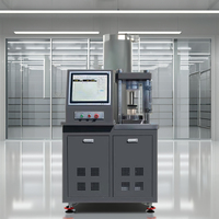 Machine d'essai automatique de compression d'ordinateur DYE-300S/machine d'essai de flexion et de compression de ciment