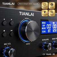 TIANLAI Profesyonel Karaoke Amfisi, Çift Kablosuz UHF Mikrofonlu, Bluetooth 5.0 DSP Ses Sistemli, Ev KTV Partileri için