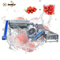 Automatische fruit- en bessenwasmachine, sorteermachine voor kumquats en aardbeien.