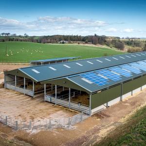 Estrutura de aço projeto casa de galinha aves fazenda - Product Image 5