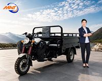 Dreirädriges Fahrzeug mit 200ccm Luftgekühltem Motor Große Ladekapazität für Gewerblichen Transport