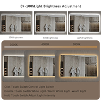 Modern Simple Thermostatic Waterproof Smart Voice Function Mirror Make Up Led Mirror High Definition Intelligent Bathroom Mirror