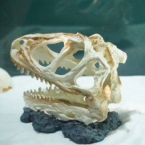 Haute Qualité Résine Tyrannosaurus <span class=keywords><strong>Rex</strong></span> Crâne Aquarium Fish Tank Décoration En Plastique Paysage Artisanat - Product Image 4