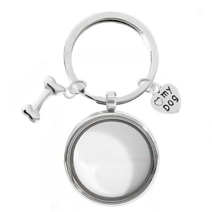 Porte-clés en acier inoxydable pour empreintes de pattes de chat et de chien, bijou commémoratif pour poils d'animaux, urne funéraire pour cendres d'animaux - Product Image 4