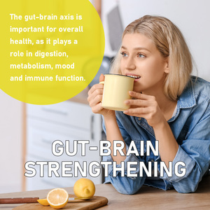 High Quality Probiotic Capsules Support Gastrointestinal Digestion the Gut Brain Connection Daily Emotional Balance Capsules - Product Image 4