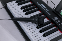 Órgano Electrónico BD Music BD-667 con Luz, Teclado de Piano de 61 Teclas, Funciones de Acordes de Doble Tono, 200 Tonos, 200 Ritmos, Aprendizaje