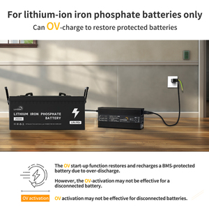Chargeur de batterie <span class=keywords><strong>Lvyuan</strong></span>, chargeur pour batteries au plomb-acide et LiFePO4, pour moto, scooter électrique et vélo électrique - Product Image 4