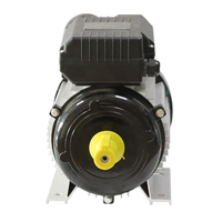 Moteur à induction monophasé haute efficacité YL-801-4 0,55 kW 0,75 CV 1400 tr/min à faible bruit AC
