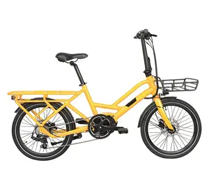 Best Selling 20 Inches Cute Retro E Bike 250W Cargo Electric Bike With Front Basket Tandem Electric Bicycle