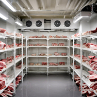 Pièce industrielle de congélateur de-30 °C pour le stockage de viande/fruits de mer