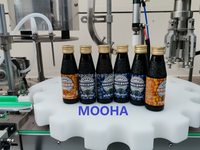 Machine de remplissage et de bouchage automatique à pompe péristaltique pour flacons et bouteilles en verre, pour parfum, gel, liquide oral, haute productivité
