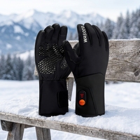 Gants chauffants rechargeables à écran tactile, batterie 7,4 V 3000 mAh, imperméables, antidérapants pour l'hiver, le ski, la moto