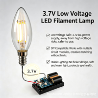 Ampoule G45 à économie d'énergie E26/E27, guirlande lumineuse d'ambiance étanche en PC LED avec télécommande, lampe solaire à intensité variable, best-seller