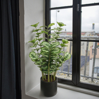 Calathea buatan plastik 100cm Orbifolia ramah lingkungan untuk dekorasi ulang tahun