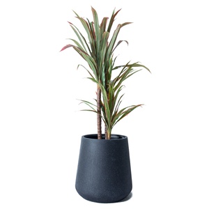 Jardinières en béton <span class=keywords><strong>de</strong></span> jardin d'intérieur empilables faites à la main grand <span class=keywords><strong>pot</strong></span> <span class=keywords><strong>de</strong></span> <span class=keywords><strong>fleur</strong></span> inspiré <span class=keywords><strong>de</strong></span> <span class=keywords><strong>Groot</strong></span> en fibre <span class=keywords><strong>de</strong></span> verre - Product Image 4