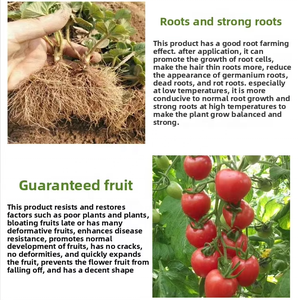 Engrais organique hydrosoluble équilibré en azote, phosphore et potassium, compost d'acide de <span class=keywords><strong>bois</strong></span> en poudre - Product Image 5