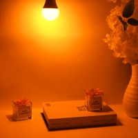 Ampoules LED intelligentes à haute luminosité 1600K à économie d'énergie pour la maison
