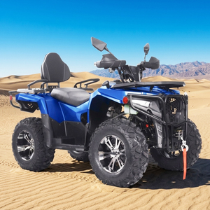 Buggy UTV de 300cc, 4 Tiempos, 4x2, Diésel, con Suspensión Independiente, para Montaña y Pistas Escénicas - Product Image 2