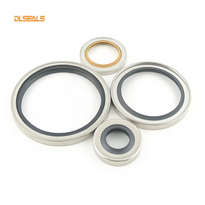 Dlseals Nhà máy cung cấp đôi môi con dấu dầu cho máy nén trục quay con dấu PTFE thép không gỉ 304 máy móc con dấu dầu - Product Image 2