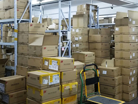 Puces élastiques pour récupération, ordinateur, métal doré, recyclage des peaux mortes