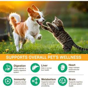 Friandises à mâcher vitaminées pour animaux de compagnie avec extraits naturels de plantes pour chiens et chats - Absorption rapide, soutien immunitaire, digestif, articulaire et <span class=keywords><strong>cardiaque</strong></span> - Product Image 2