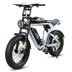 Bicicleta Eléctrica Híbrida M20-II 48V con Cuadro de Acero de Alto Carbono de 20 Pulgadas y Neumáticos Anchos, Disponible en Almacenes de la UE y EE. UU. - Product Image 1