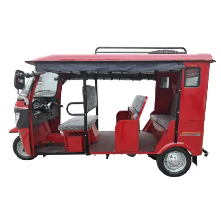 China Factory Wholesale 3000W 48V CKD Electric Tricycles Electric Rickshaw