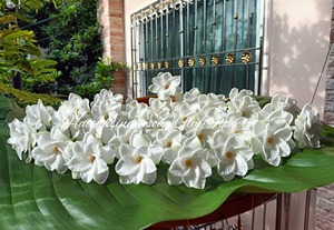 White <b>Artificial</b> Plumeria Flowers Clay Floral Decorative <b>Bouquet</b> for Wedding Home Wedding Table Decor - Product Image 3