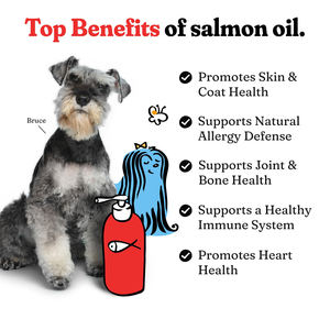 Köpekler kediler için somon yağı sağlıklı cilt ceket balık yağı Omega sıvı gıda takviyesi evcil hayvanlar için tüm ortak kemik sağlık alerji destekler - Product Image 3