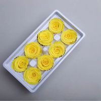 Kepala Mawar Abadi Level A/B 4-5cm Kelopak Bunga Kering 6pcs/Kotak Perlengkapan Kerajinan Bunga DIY untuk Pernikahan, Dinding, Jendela, Buket