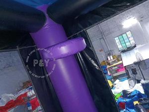 商用充气蹦床黑豹湿/干组合充气跳跃城堡弹跳屋派对租赁滑水池 - Product Image 6