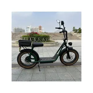 공장 원래 접이식 pera bicicleta electrica plegable ebike/접이식 전기 자전거 sepeda lipat 목록