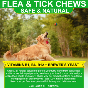 Oimmal 60P Suplemento Repelente de Pulgas y <span class=keywords><strong>Garrapatas</strong></span> para Mascotas, Suplemento de Vitaminas Naturales Puras, Tabletas Masticables - Product Image 5