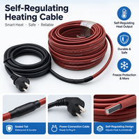 Câble chauffant auto-régulant industriel 220V pour la protection contre le gel des tuyaux, la déneigement des toits et des gouttières, ruban chauffant PTC