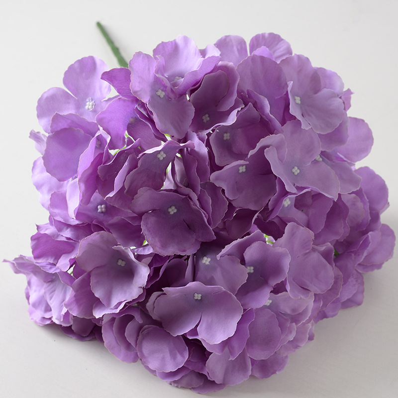 Hortensia à 5 têtes violet