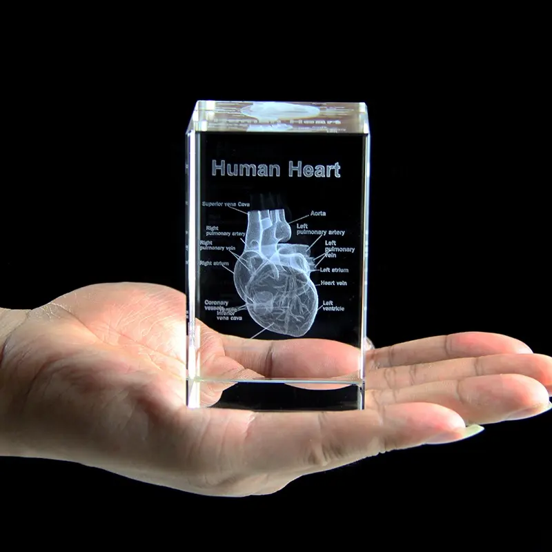 Vivid 3D K9 kristal hati Organ terukir kubus ukiran garis otak dokter medis hadiah pemberian
