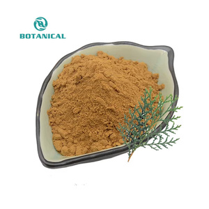 B.C.I Pure Natural Cacumen Platycladi Orientalis Extracto 10:1 Cacumen Platycladi Orientalis P.e Polvo - Product Image 2