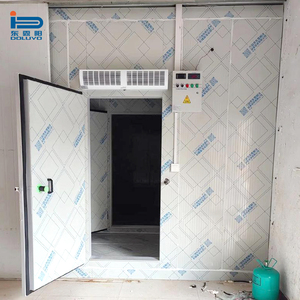 Nouvelle chambre froide de 2,4x2,4x2,1m avec compresseur Copeland et groupe de condensation monophasé 220V pour petits restaurants et boucheries - Product Image 3