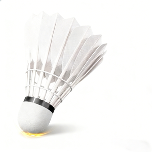 Volants de <span class=keywords><strong>badminton</strong></span> en plumes d'oie durables, résistants au vent, à vol stable pour la compétition et l'entraînement en extérieur, pack de 3, 6 ou 12 pièces, vente en gros - Product Image 1