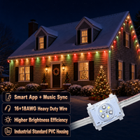 Lumières décoratives de Noël permanentes sous le toit, 48 volts, pour l'extérieur de la maison, 20 mm, 6 LED, point lumineux pixelisé pour toit