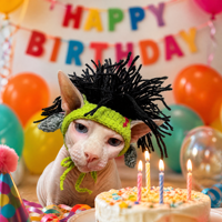Nouveauté 2026 : Accessoires de mode pour animaux de compagnie, chapeaux pour chats multi-styles pour Halloween et usage quotidien