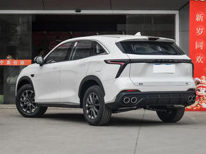 2025 para COWIN High Original Version 1,5 T 7 asientos - Product Image 6