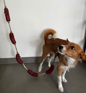 Correa de perro de salchicha bonita personalizada de última moda, correa de perro pequeña de lujo hecha a mano duradera suave Premium - Product Image 6