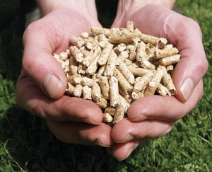 <span class=keywords><strong>Pellets</strong></span> <span class=keywords><strong>de</strong></span> Biomasa Combustible 6mm 8mm <span class=keywords><strong>Pellets</strong></span> <span class=keywords><strong>de</strong></span> Madera <span class=keywords><strong>de</strong></span> Pino en Bolsas <span class=keywords><strong>de</strong></span> <span class=keywords><strong>15</strong></span> <span class=keywords><strong>kg</strong></span> y Big Bags para Sistemas <span class=keywords><strong>de</strong></span> Calefacción - Product Image 1