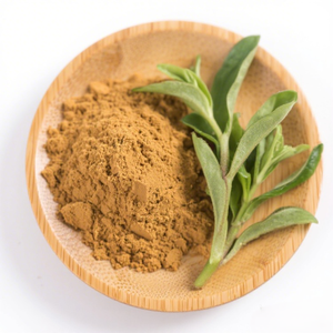 純天然オーガニックアンドログラフィス・パナケアエ抽出物食品グレードハーブパウダー（ドラム包装） - Product Image 1