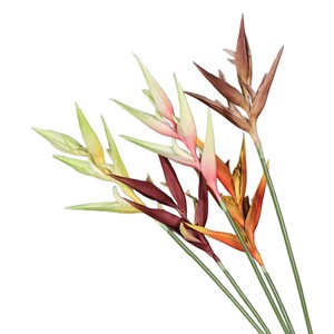 Flores Artificiales de Pluma de Ave del Paraíso Meng Jie, Material Floral de Goma Suave para Decoración de Bodas y Hogar, Estilo Ins - Product Image 5
